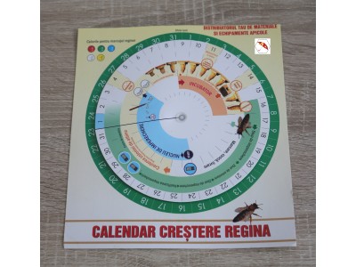 Calendar Regine