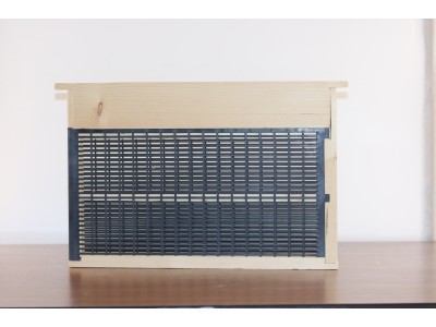 Rama crestere regine